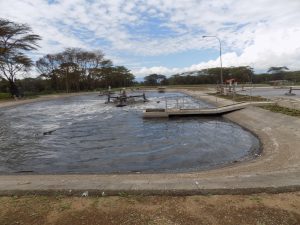 Sewer Treatment Plant